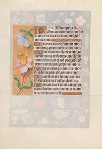 Hours of Queen Isabella the Catholic, Queen of Spain: Fol. 127v by Master of the First Prayerbook of Maximillian