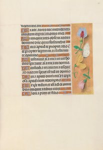 Hours of Queen Isabella the Catholic, Queen of Spain: Fol. 156r