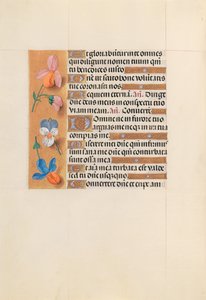Hours of Queen Isabella the Catholic, Queen of Spain: Fol. 228v, c. 1500 by Master of the First Prayerbook of Maximillian