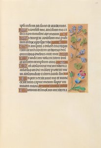 Hours of Queen Isabella the Catholic, Queen of Spain: Fol. 236r
