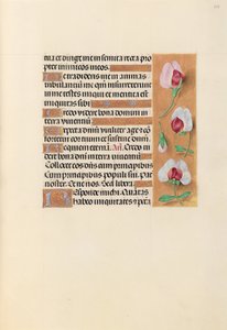 Hours of Queen Isabella the Catholic, Queen of Spain: Fol. 237r