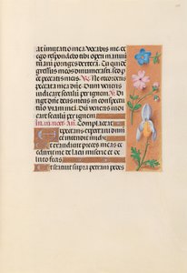 Hours of Queen Isabella the Catholic, Queen of Spain: Fol. 239r, c. 1500