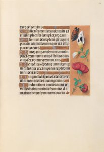 Hours of Queen Isabella the Catholic, Queen of Spain: Fol. 249r by Master of the First Prayerbook of Maximillian