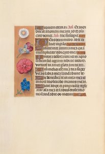 Hours of Queen Isabella the Catholic, Queen of Spain: Fol. 249v by Master of the First Prayerbook of Maximillian