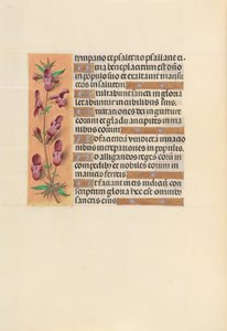 Hours of Queen Isabella the Catholic, Queen of Spain: Fol. 253v