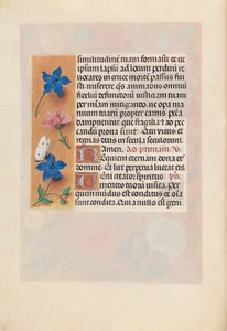 Hours of Queen Isabella the Catholic, Queen of Spain: Fol. 25v, c. 1500