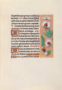 Hours of Queen Isabella the Catholic, Queen of Spain: Fol. 35r, c. 1500 by Master of the First Prayerbook of Maximillian