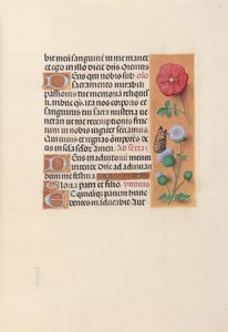 Hours of Queen Isabella the Catholic, Queen of Spain: Folio 46r by Master of the First Prayerbook of Maximillian
