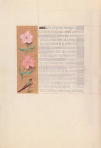 Hours of Queen Isabella the Catholic, Queen of Spain: Fol. 56v, c. 1500 by Master of the First Prayerbook of Maximillian