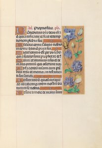 Hours of Queen Isabella the Catholic, Queen of Spain: Fol. 59r by Master of the First Prayerbook of Maximillian