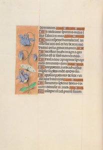 Hours of Queen Isabella the Catholic, Queen of Spain: Fol. 75v
