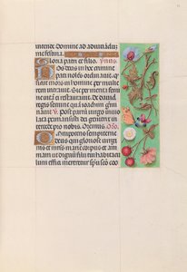Hours of Queen Isabella the Catholic, Queen of Spain: Fol. 82r