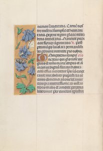 Hours of Queen Isabella the Catholic, Queen of Spain: Fol. 83v, c. 1500 by Master of the First Prayerbook of Maximillian
