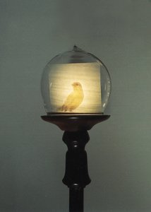 Antique by Mat Collishaw