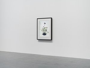Columbine by Mat Collishaw