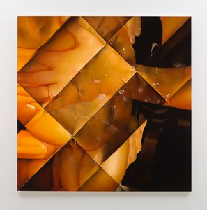 Inhibitions, 2013 by Mat Collishaw