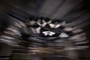 Magic Lantern by Mat Collishaw