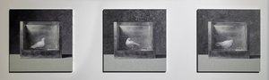 Operant Conditioning Chamber 3, 2022 by Mat Collishaw
