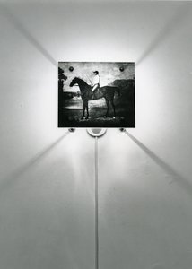 Stubbs Horses by Mat Collishaw