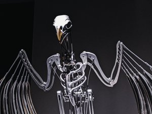 The Nerve Rack by Mat Collishaw