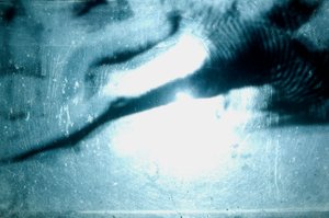 Wormery by Mat Collishaw