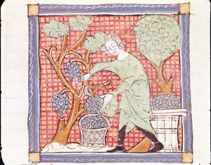 September: The Harvest