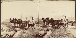 Army Wagon Going to Commissary Depot, City Point, for Supplies by Mathew B. Brady