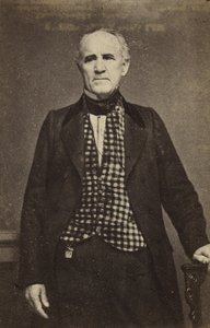 Sam Houston, c.1860-65 (albumen silver print) by Mathew B. Brady