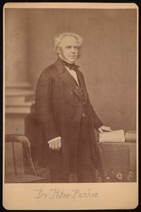 Portrait of Peter Parker