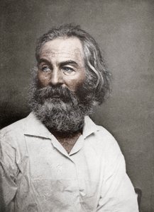 Walt Whitman, American Poet, c1880s