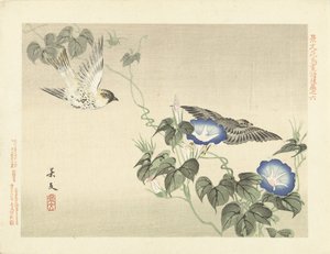 Two Birds Flying by Blue Morning Glory (series title)