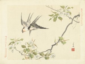 Two Swallows