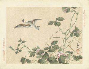Flying Bird by Climbing Plant with Pink Flowers (Flower and Bird Sketches by Keibun - Part Three) by Matsumura Keibun
