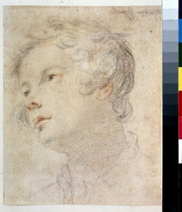 Head of a Boy