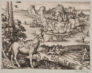 Here I Cannot Help but Consider the Very Wonderful Being, Which the Natives Call Mosse