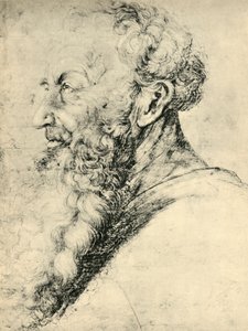 Portrait of Guido Guersi, 1513-1515