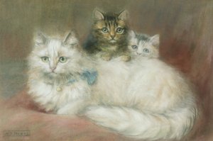 A Persian Cat and Her Kittens by Maud D. Heaps