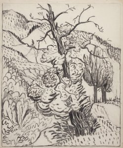 Tree on Mountainside, c.1930 by Maud Hunt Squire