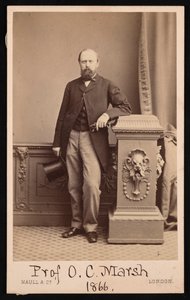 Portrait of Othniel Charles Marsh by Maull and Co