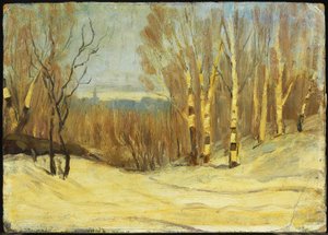 Winter near Montreal