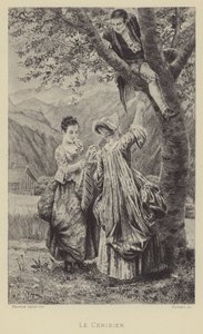 The Cherry Tree