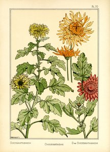 The Chrysanthemum by Maurice Pillard Verneuil