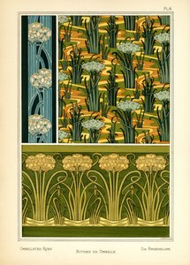 The Umbellated Rush