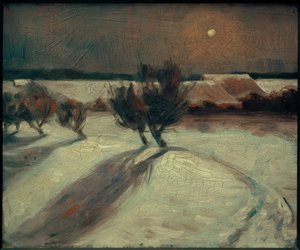 Snowy Landscape in Moonlight