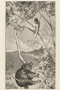 Bear and Elf (pl.1)