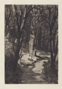 In the Forest