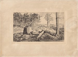 Simplicius in the Forest Wilderness (Plate X), from Intermezzi. Rad. Op. IV. 12 Compositions by Max Klinger