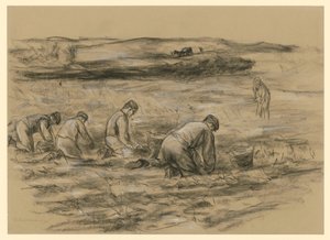 Potato Diggers in Zandvoort by Max Liebermann