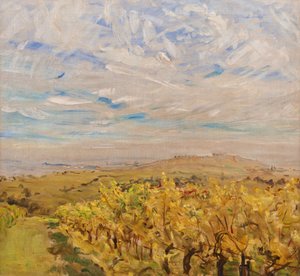 Early Autumn in the Palatinate. Vineyards near Neukastel