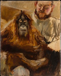 Orangutan 